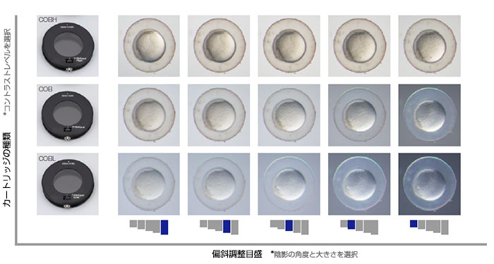 SZX2-ILLTQを用いた実体顕微鏡における偏斜照明観察の最適化 | Olympus LS