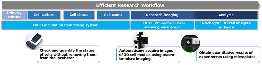 Figura 1. Processo de trabalho baseado na formação de imagem para modelos de cultura de células 3D usando tecnologias da Evident.
