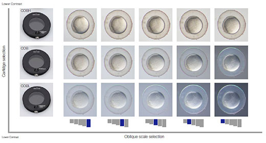 Optimizing Your Oblique Observation using Our Flexible Contrast Solution