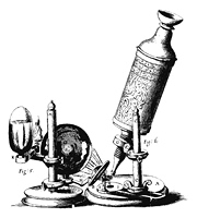 図10 複式顕微鏡