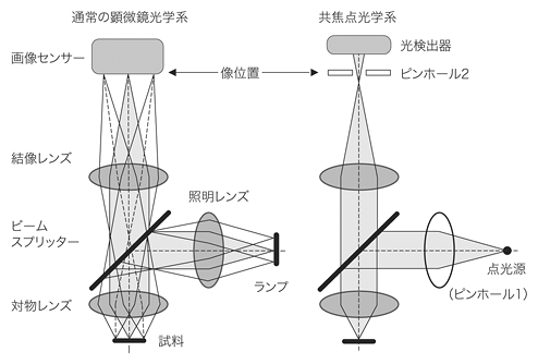 図1 通常の顕微鏡光学系と共焦点光学系の比較