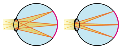 図9 人の目の瞳の役割