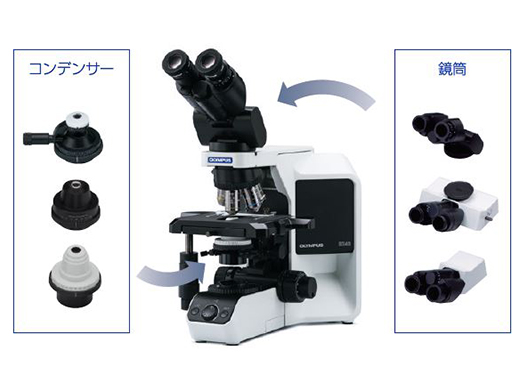 検査顕微鏡 BX43 | オリンパス ライフサイエンス