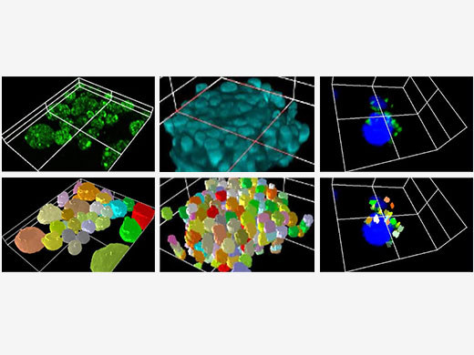 3D cell analysis