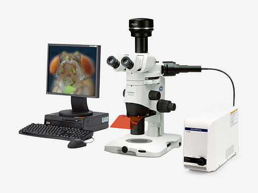 SZX16 | Advanced Stereo Microscope | Olympus LS