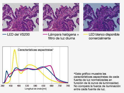 Iluminación LED clara optimizada para la patología y citología