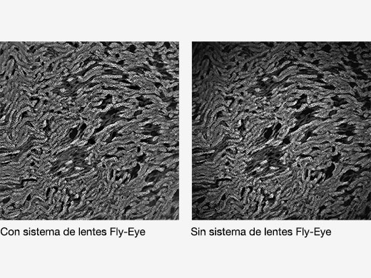 Comparación de lente Fly-eye ausente o integrada