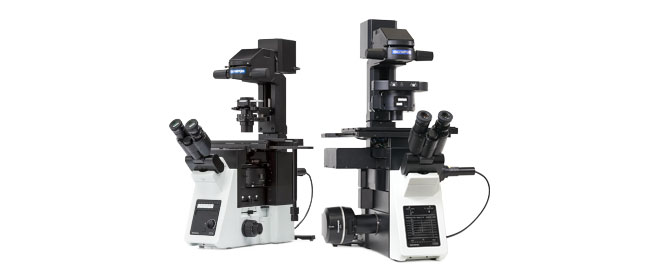 Microscópios invertidos