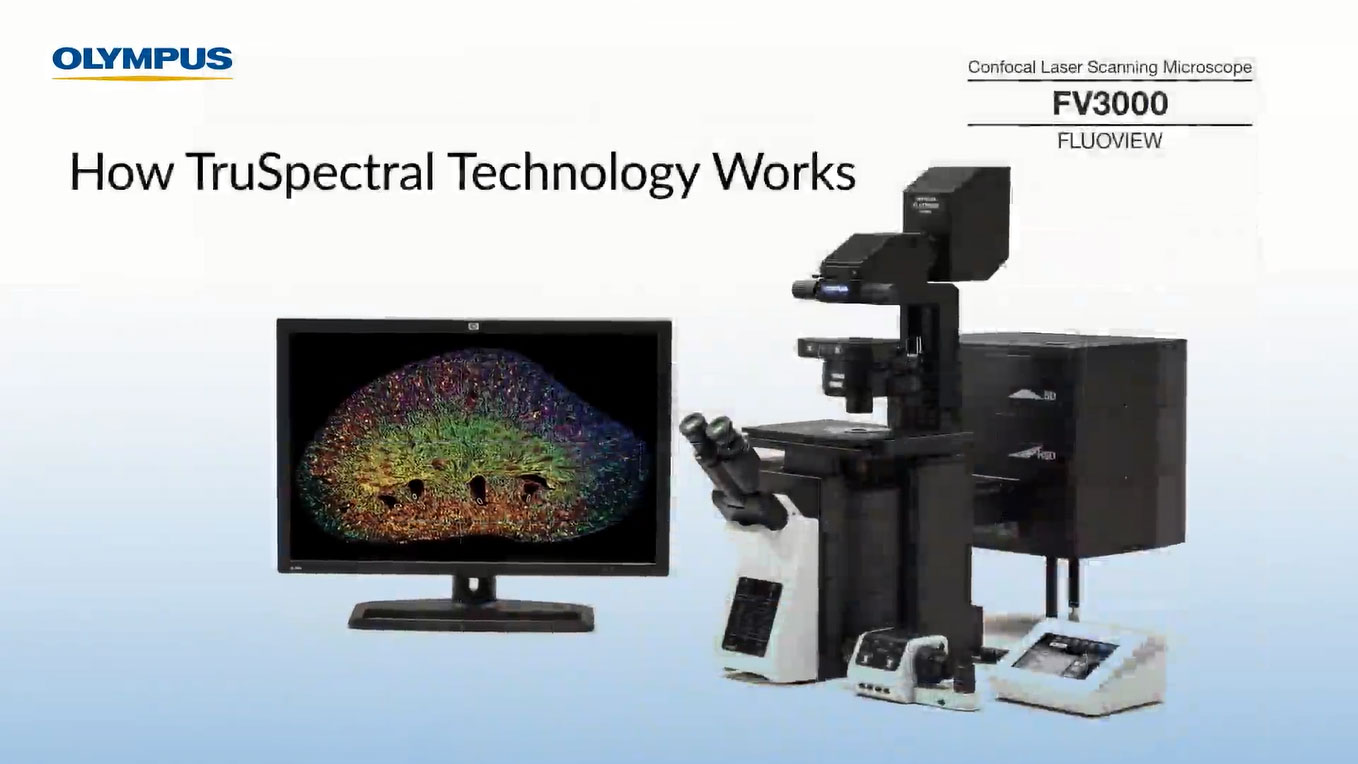 共焦点 レーザー走査型顕微鏡 FV3000 | オリンパス ライフサイエンス