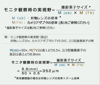 観察時の実視野＝CCDサイズ／(M(ob)×M(TV))