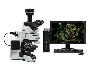 生物顕微鏡との組み合わせ例