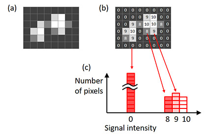図6 – 画像のヒストグラム。 （a）オリジナル画像、（b）オリジナル画像に示された各画素の信号強度、（c）オリジナル画像に基づいて作成されたヒストグラム。