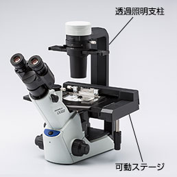 図2 培養顕微鏡