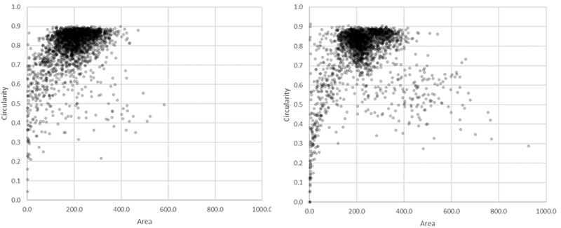 Figure8 Scatter plot showing circularity versus area distribution of the 1.10 million nuclei detected in the GFP channel (left) and the 1.13 million nuclei detected in the brightfield channel by the AI (right). The yellow rectangle indicates unusually large objects.
