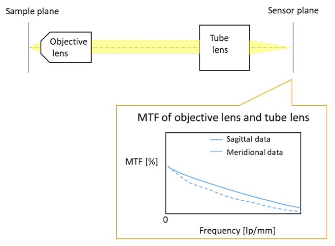 Abbildung 10: MTF-Diagramm mit kombinierter optischer Leistung von Objektiv und Tubuslinse.