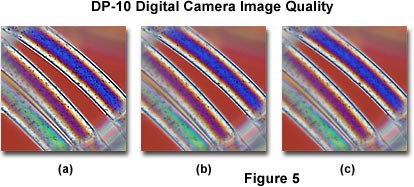 Digital Imaging in Optical Microscopy - Olympus DP-10 Digital 