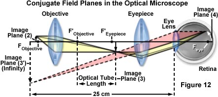 Microscope Optical Components - Introduction | Olympus LS