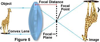 Optical Principles of the Magnifying Glass