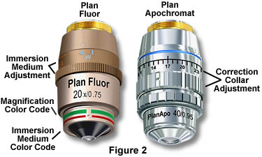 Anatomy of the Microscope - Objectives: Specifications and