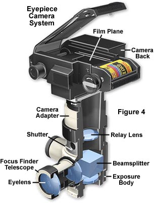 Photomicrography - Film Cameras | 奥林巴斯生物显微镜