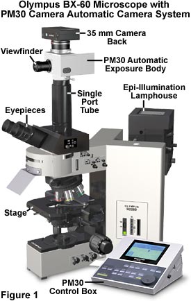 Photomicrography - Olympus PM-30 Automatic Camera System | Olympus LS