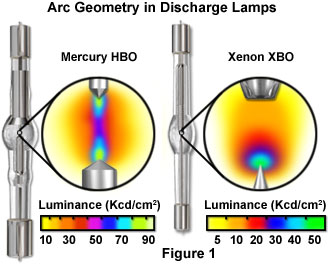 Confocal Microscopy - Non-Coherent Light Sources | Olympus LS