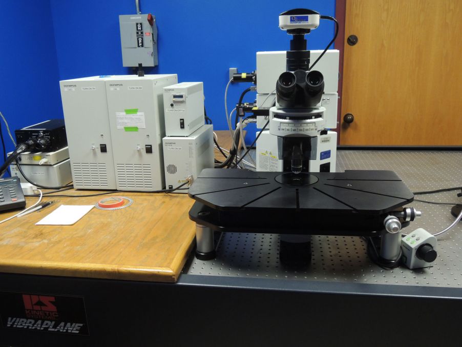 Confocal laser scanning microscope for biofilm research