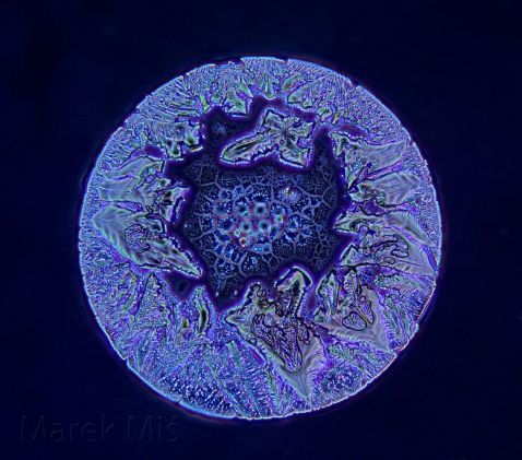 Kristallisierte Sojasauce unter dem Mikroskop