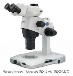 Estereomicroscopio (microscopio estereoscópico) 
