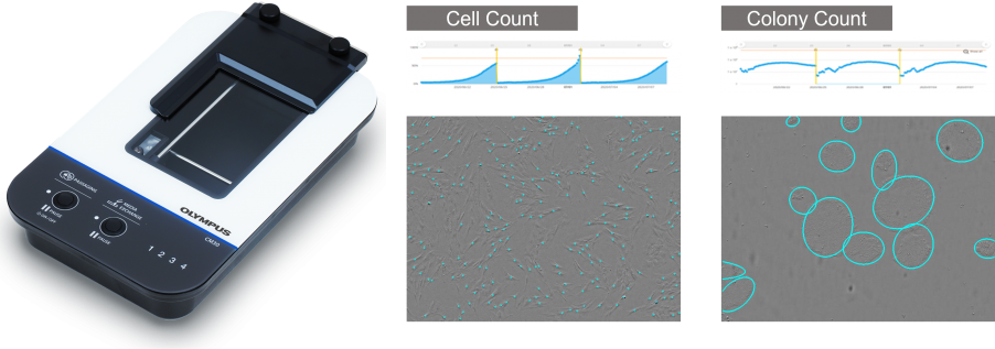 Cell count analysis using an incubation monitoring system
