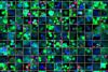 Tests de viabilité cellulaire en présence de médicaments sur des sphéroïdes tumoraux 3D à l’aide de l’imagerie macro-micro automatisée