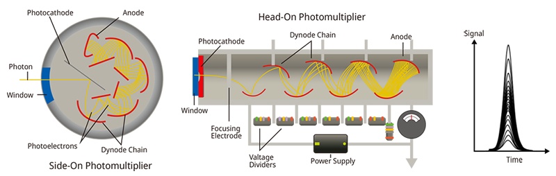 Figure 4. The structure of a PMT’s input-output characteristics. When photons are incident on the photocathode, emitted electrons from the photocathode are amplified in a vacuum tube. As secondary electrons are repeatedly amplified at multiple dynode chains, the output pulse signal when detecting one photon is not uniform or stable.