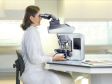 Mind Your Back! How to Work Comfortably at Your Microscope with Ergonomics