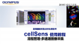 cellSens采集 流程管理01-多通道图像采集