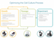 Optimizing the Cell Culture Process