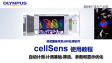 cellSens分析 计测04-自动计测基础-筛选、参数、显示优化