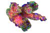 患者源性肿瘤类器官的3D分析