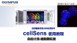 cellSens 분석-계수 및 측정05-적용 실례-입상도