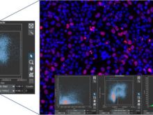 フローサイトメトリーとイメージサイトメトリー：大きな細胞集団の評価手法を比較する