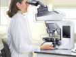 Routine Microscopy: Improving Productivity Through Better Ergonomics
