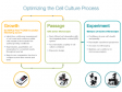 Accelerating Experimental Success Through a systematic cell culture workflow