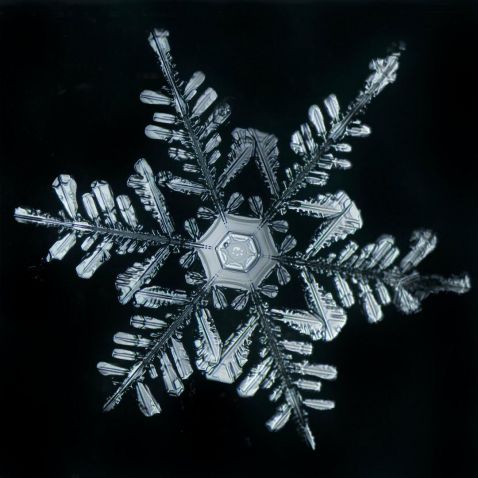 snowflake under microscope
